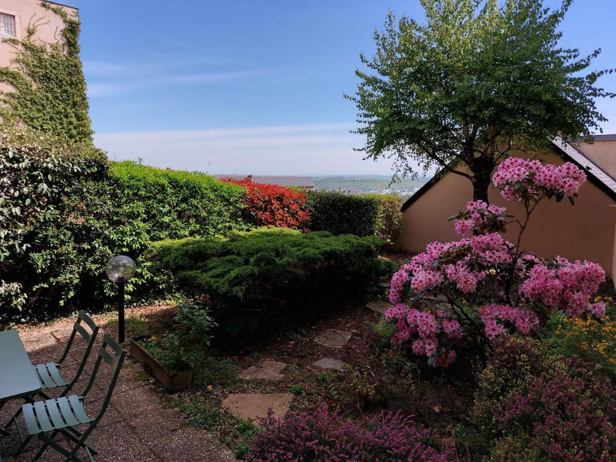 شقة Le Denyspuech 55M2 Plein Centre Avec Jardin! روديه المظهر الخارجي الصورة